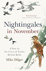 Nightingales november year for sale  Delivered anywhere in UK