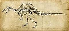 Kunstdruck holz spinosaurus gebraucht kaufen  Wird an jeden Ort in Deutschland