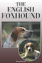English foxhound complete for sale  Delivered anywhere in Ireland