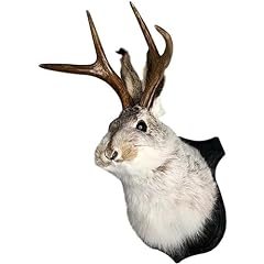 Hsosk jackalope mount for sale  Delivered anywhere in USA 