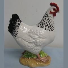 Cockerel for sale  Delivered anywhere in UK