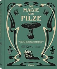 Magie pilze pilze gebraucht kaufen  Wird an jeden Ort in Deutschland