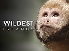 Wildest islands for sale  Delivered anywhere in UK