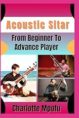 Acoustic sitar from d'occasion  Livré partout en France
