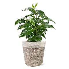 Green circle growers for sale  Delivered anywhere in USA 
