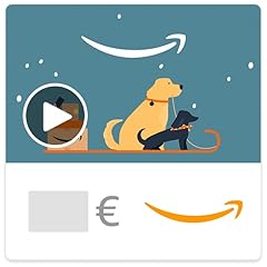 Digitaler amazon gutschein gebraucht kaufen  Wird an jeden Ort in Deutschland