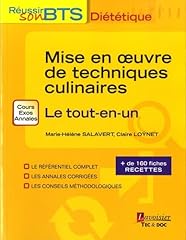 Mise oeuvre techniques d'occasion  Livré partout en France