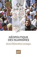 Géopolitique islamismes d'occasion  Livré partout en France