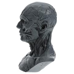 Warmhm sculpture anatomique d'occasion  Livré partout en France