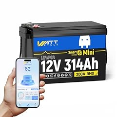 Mini batteria lifepo4 usato  Spedito ovunque in Italia 