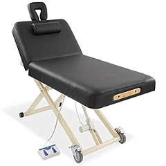 Saloniture professional electr for sale  Delivered anywhere in USA 