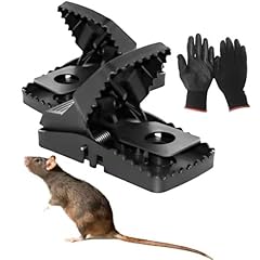 Xxl 21cm rat for sale  Delivered anywhere in UK