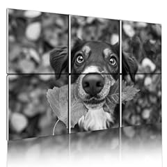Art acoustic panels for sale  Delivered anywhere in USA 