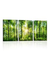 Forest wall art for sale  Delivered anywhere in USA 