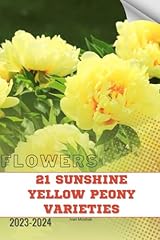 Sunshine yellow peony for sale  Delivered anywhere in USA 