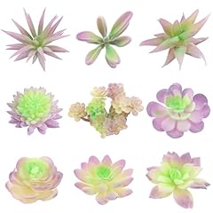 Ydabao succulents plants for sale  Delivered anywhere in USA 