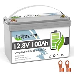 Tcbworth 12v 100ah for sale  Delivered anywhere in USA 
