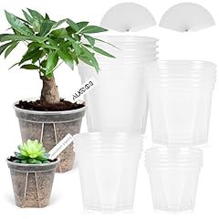 20pack inch clear for sale  Delivered anywhere in USA 