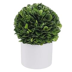 Mihuage preserved boxwood for sale  Delivered anywhere in UK