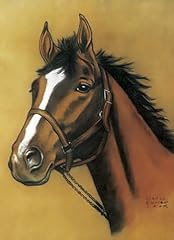 Horse notebook for sale  Delivered anywhere in USA 