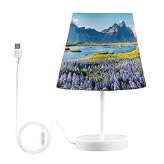 Dhskfua lampade comodino usato  Spedito ovunque in Italia 