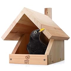 Solid wood blackbird for sale  Delivered anywhere in USA 