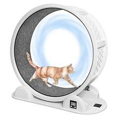 Cawuwe large cat for sale  Delivered anywhere in UK
