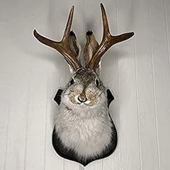 Usgitke jackalope jackalope for sale  Delivered anywhere in USA 