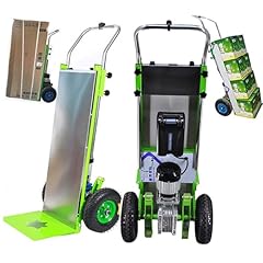 Carrello saliscale elettrico usato  Spedito ovunque in Italia 