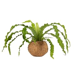 Better gro hanging for sale  Delivered anywhere in USA 