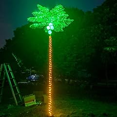 Palm trees outside for sale  Delivered anywhere in USA 