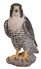 Vivid Arts XRL-PFAL-B Peregrine Falcon Resin Ornament for sale  Delivered anywhere in UK