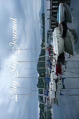 Day slips journal for sale  Delivered anywhere in USA 