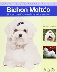 Bichon maltes maltese for sale  Delivered anywhere in UK