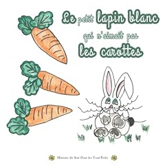 Petit lapin blanc d'occasion  Livré partout en France
