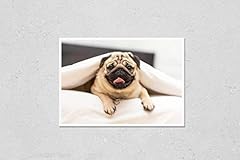 Cute pug dog for sale  Delivered anywhere in USA 