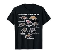 Types tarantulas pink for sale  Delivered anywhere in USA 