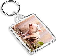 Beautiful piglet keyring for sale  Delivered anywhere in UK