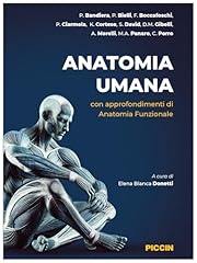 Anatomia umana. con usato  Spedito ovunque in Italia 