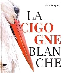 Cigogne blanche d'occasion  Livré partout en France