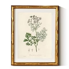 Insimsea gold bamboo for sale  Delivered anywhere in USA 