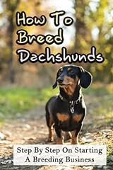 Breed dachshunds step for sale  Delivered anywhere in USA 