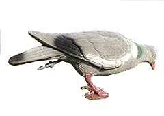 Full body pigeon for sale  Delivered anywhere in UK