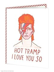 Funny humorous bowie for sale  Delivered anywhere in UK