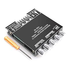 Ruizhi 2x50w 100w usato  Spedito ovunque in Italia 