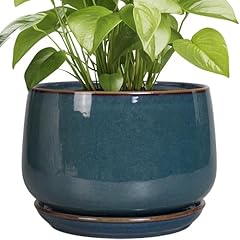 Epgardening ceramic plant for sale  Delivered anywhere in USA 