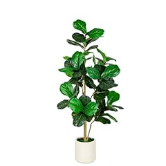 Vivatrees 5ft fiddle for sale  Delivered anywhere in USA 