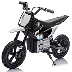 Bluefun electric motorcycle for sale  Delivered anywhere in USA 