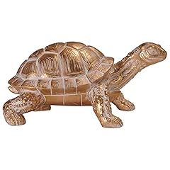 Grand tortue terrestre d'occasion  Livré partout en France
