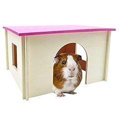 Fhiny guinea pig for sale  Delivered anywhere in USA 